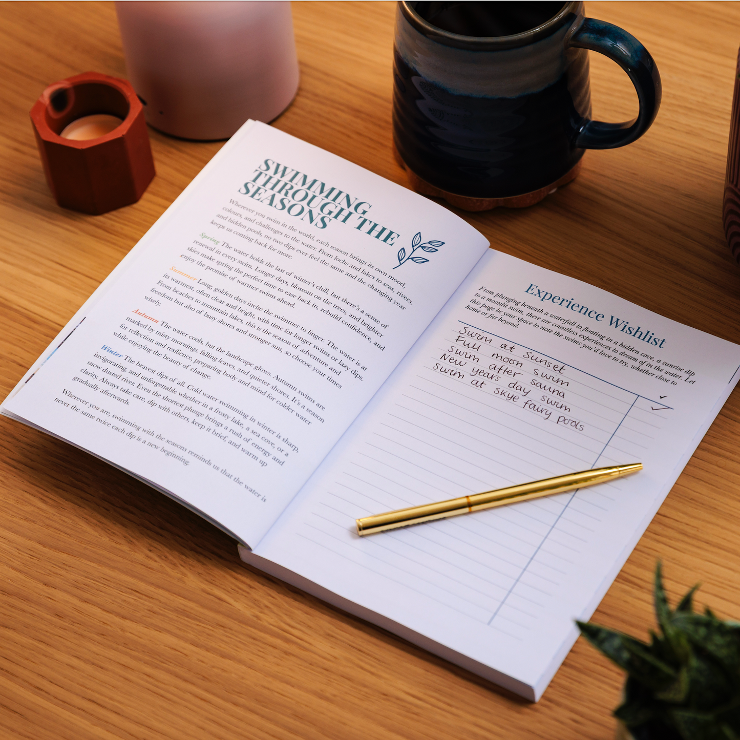 Wild Swimming Journal